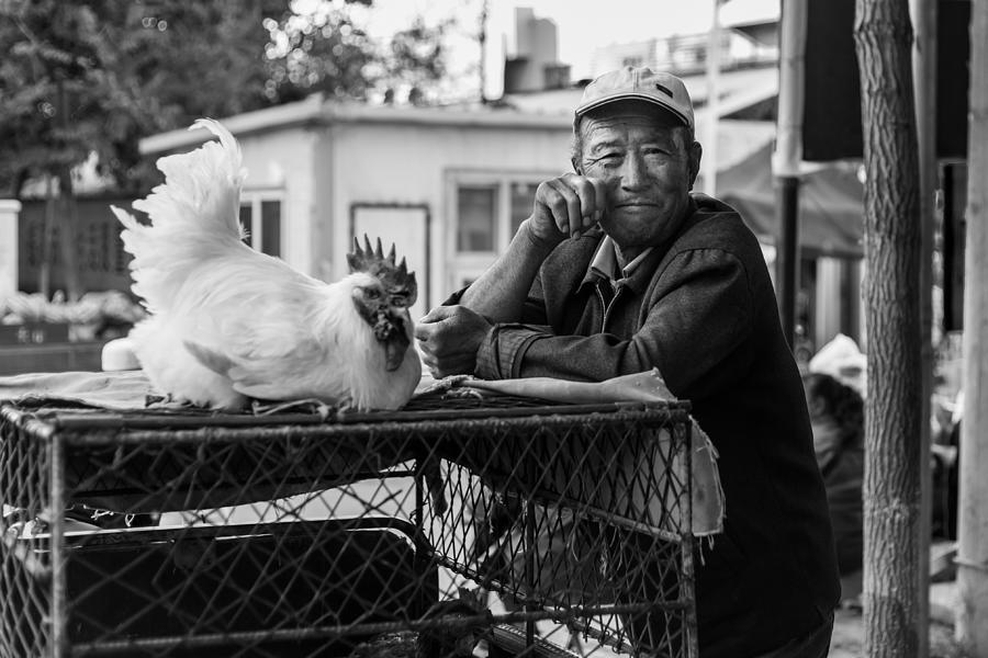 Chicken Photograph - Selling Chickens by Stephanus Le Roux