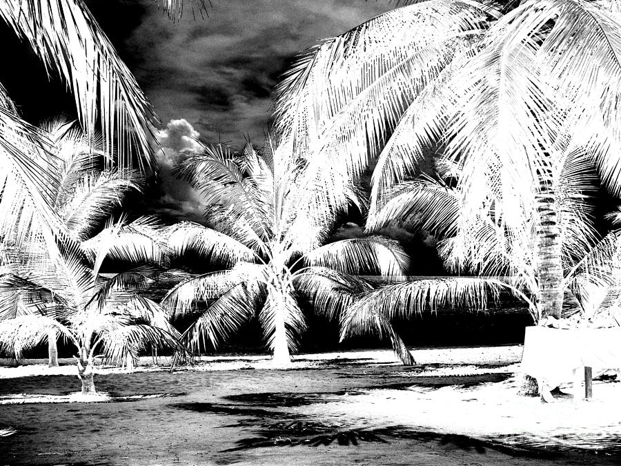 Selling Shells Infrared Extreme Photograph