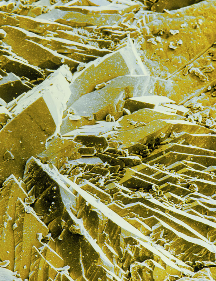Sem Of A Metal Coating Photograph by Dr Jeremy Burgess/science Photo Library