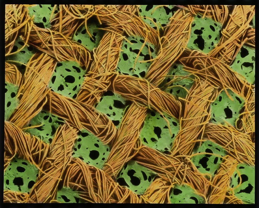 Sem Of Foam Fabric Insole Top Surface Photograph by Science Photo Library Sem Of Foam Fabric Insole Top Surface Photograph by Science Photo Library