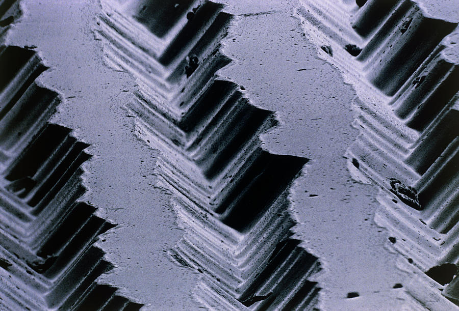 Sem Of Grooves In Lp Record Photograph by Dr. Tony Brain/science Photo Library.