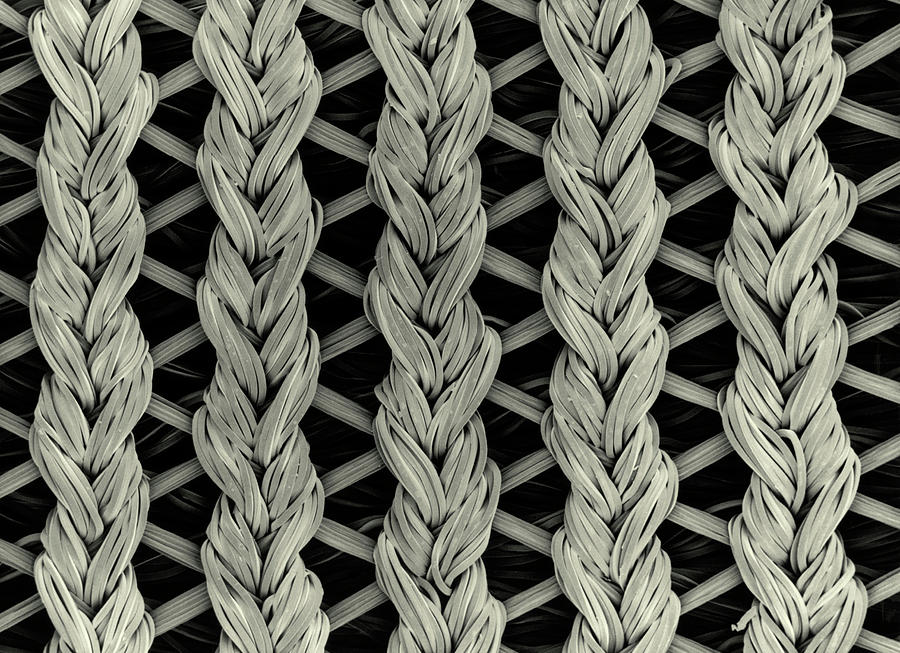 Sem Of Lycra/nylon Woven Fabric Photograph by Science Photo Library Sem Of Lycra/nylon Woven Fabric Photograph by Science Photo Library