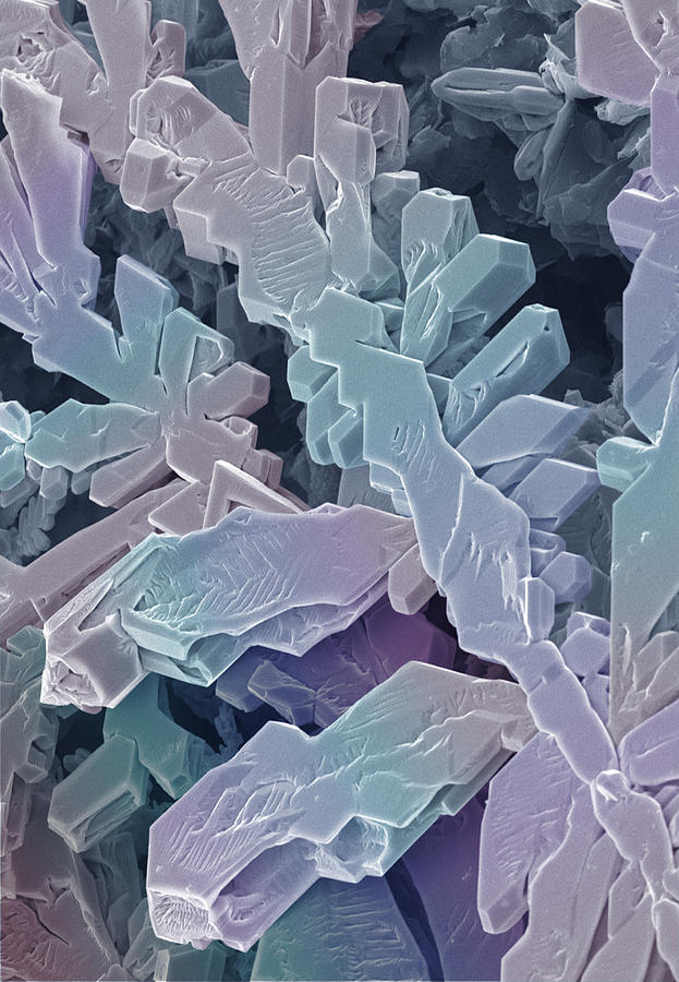 Sem Of Silver Crystals Photograph by Power And Syred