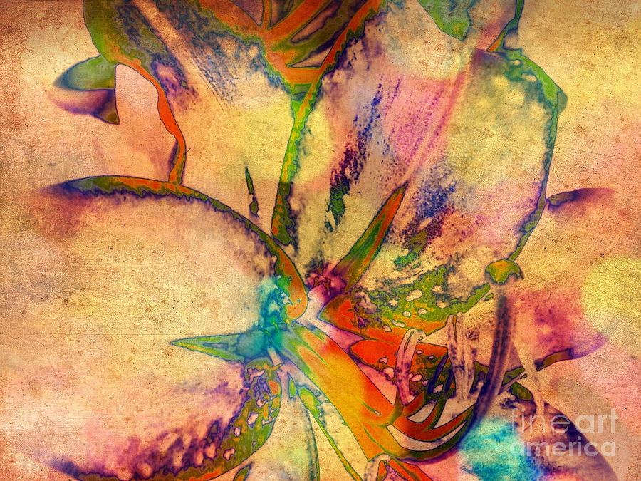 Springtime Floral Abstract Digital Art by Femina Photo Art By Maggie