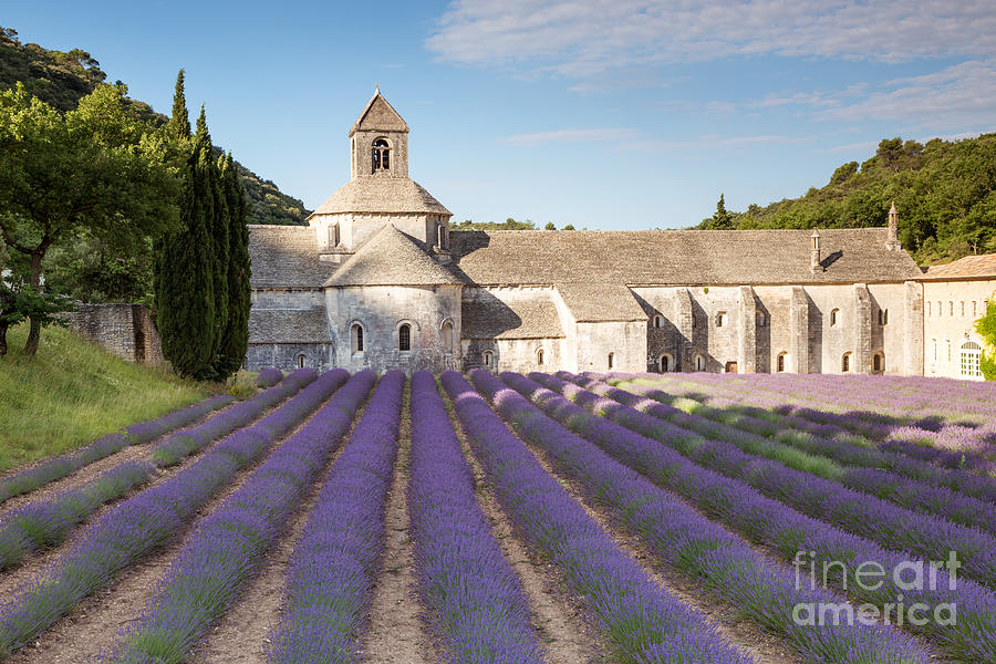 Summer Photograph - Senanque abbey and lavender field - Provence - France by Matteo Colombo