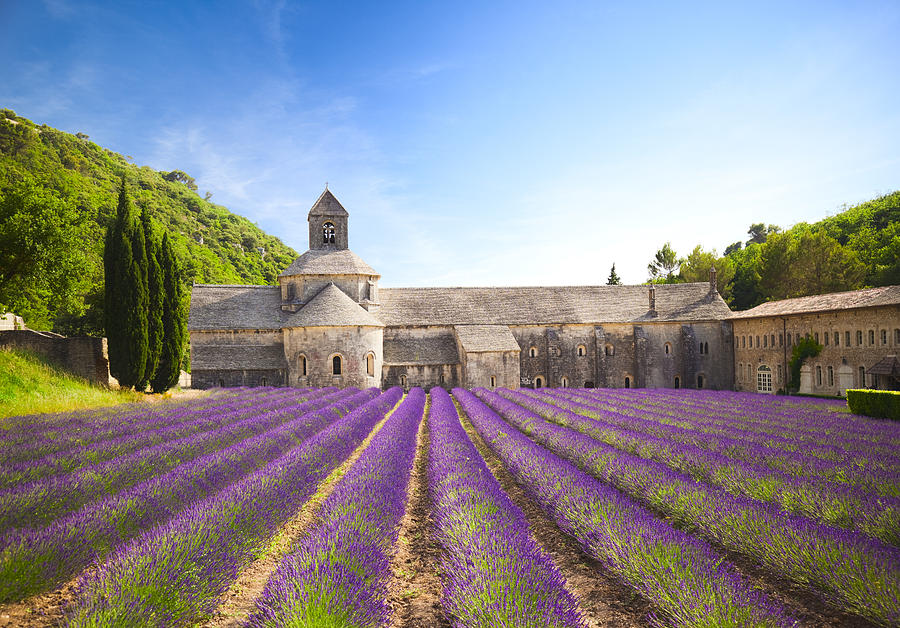 Senanque Abbey (Provence, France) Photograph by Brzozowska