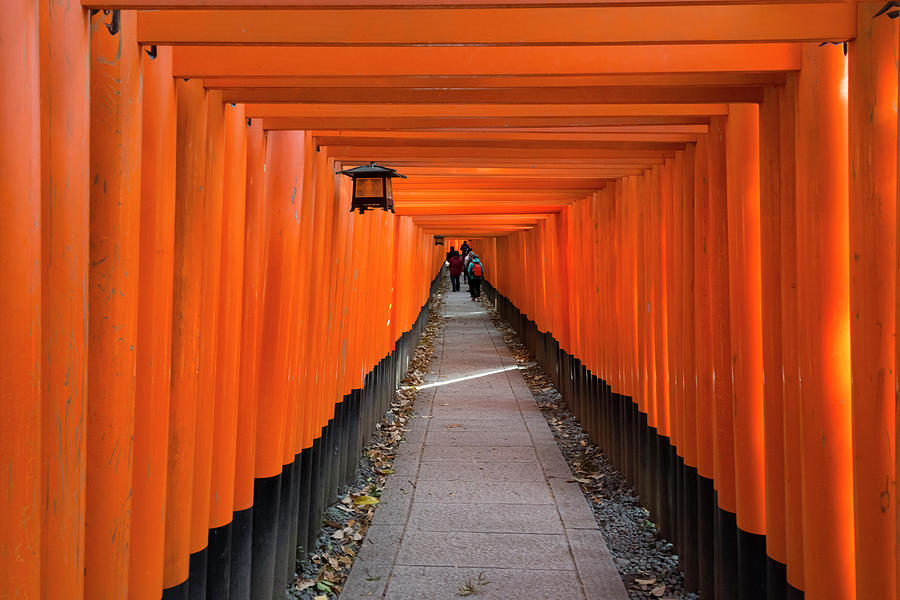Senbon Torii Thousands Of Torii Gates Photograph By Keren Su