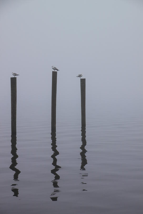 Seneca lake morning mist Photograph by Gerald Salamone