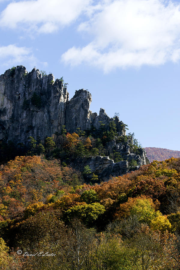 Fall Photograph - Seneca Rocks by David Lester