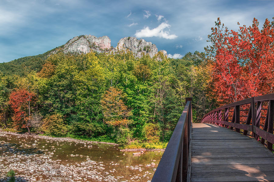 Seneca Rocks in Autumn Photograph by Mary Almond