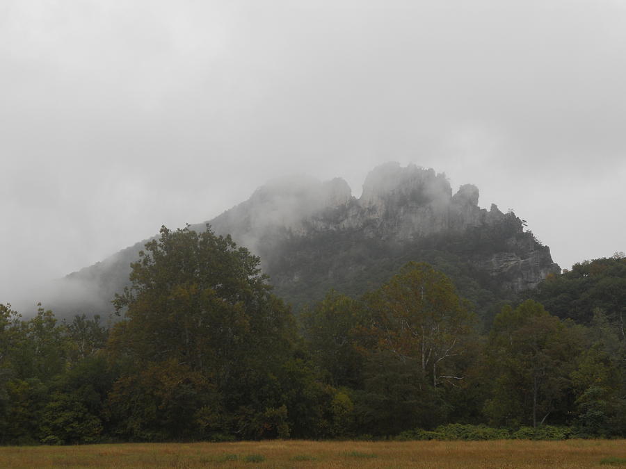 Foggy Seneca Rocks Photograph by Kristen Mohr