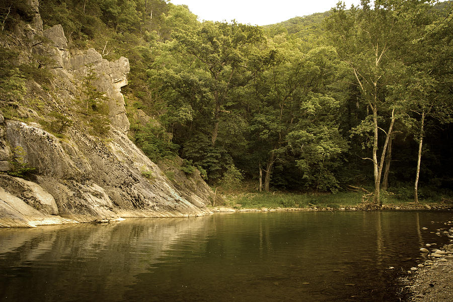 Tree Photograph - Seneca Rocks Swimming Hole by Shane Holsclaw