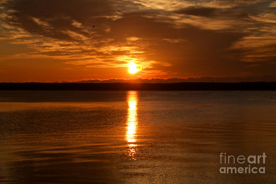 Seneca Sunrise Photograph by William Norton