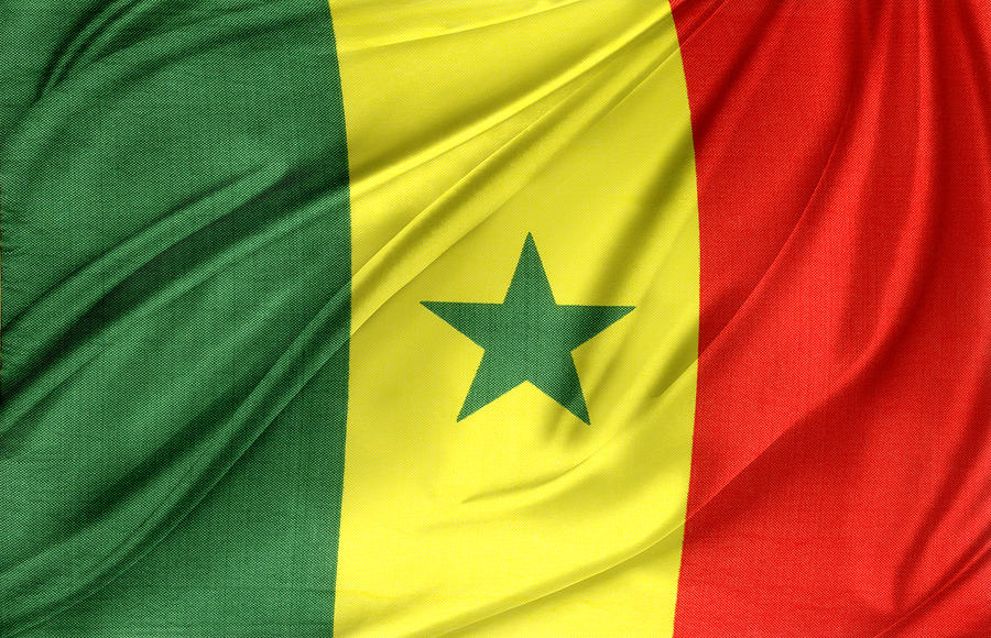 Flag Photograph - Senegal flag by Les Cunliffe