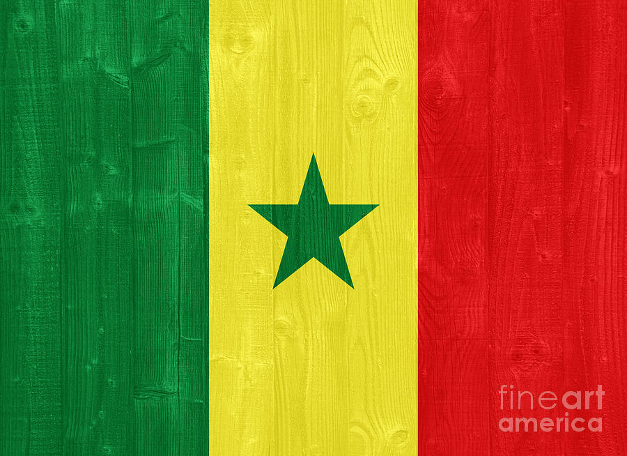 Senegal Flag Photograph