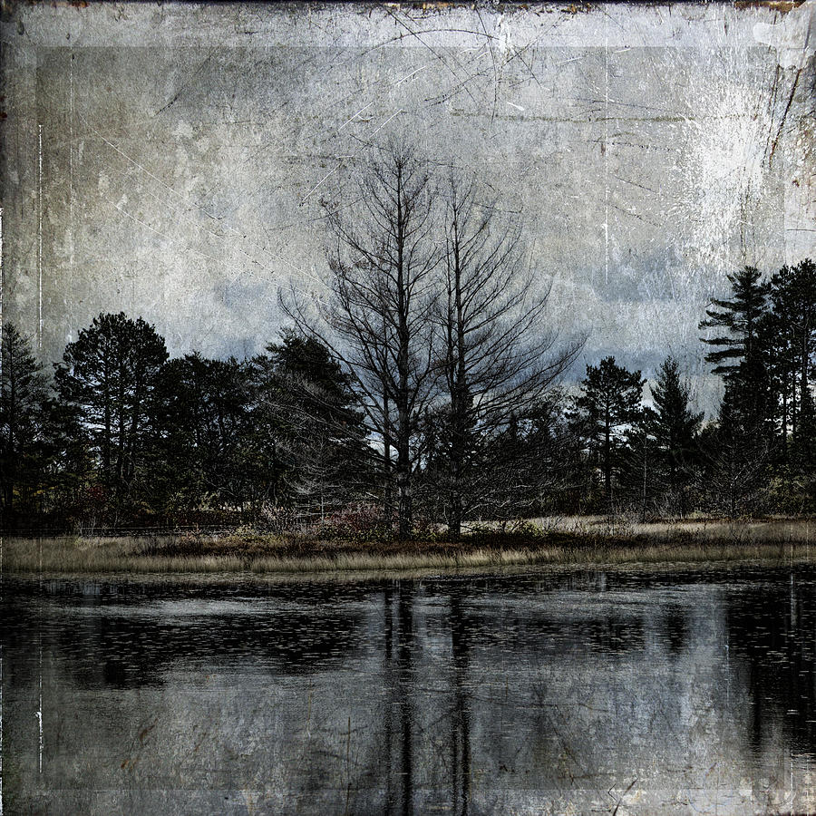 Seney Tintype Photograph by Evie Carrier