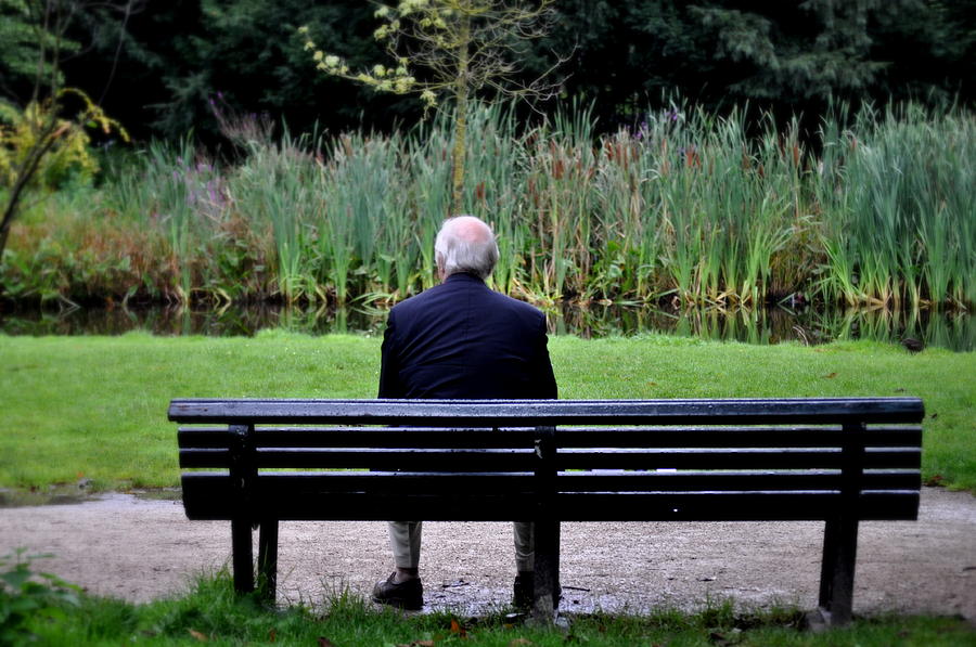 Senior man sitting on bench in garden Photograph by Pasotraspaso.  Jesus Solana