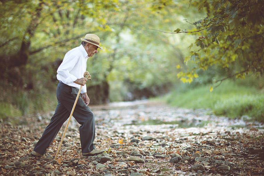 Senior man walking in a forest Photograph by Thanasis Zovoilis
