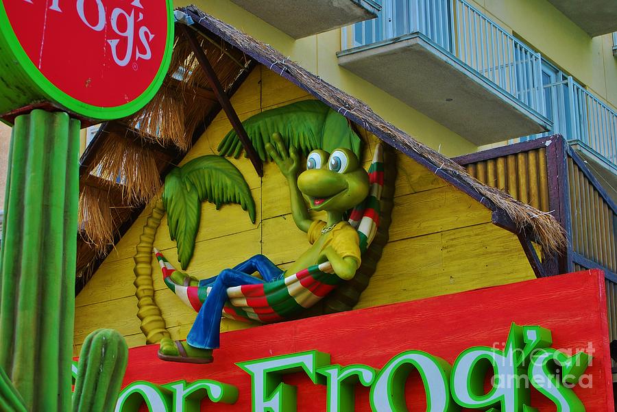 Frog Photograph - A Happy Senor Frog In Nassau by Bob Sample