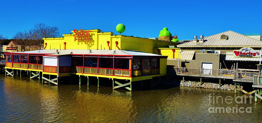 Senor Frogs In Myrtle Beach Photograph by Bob Sample