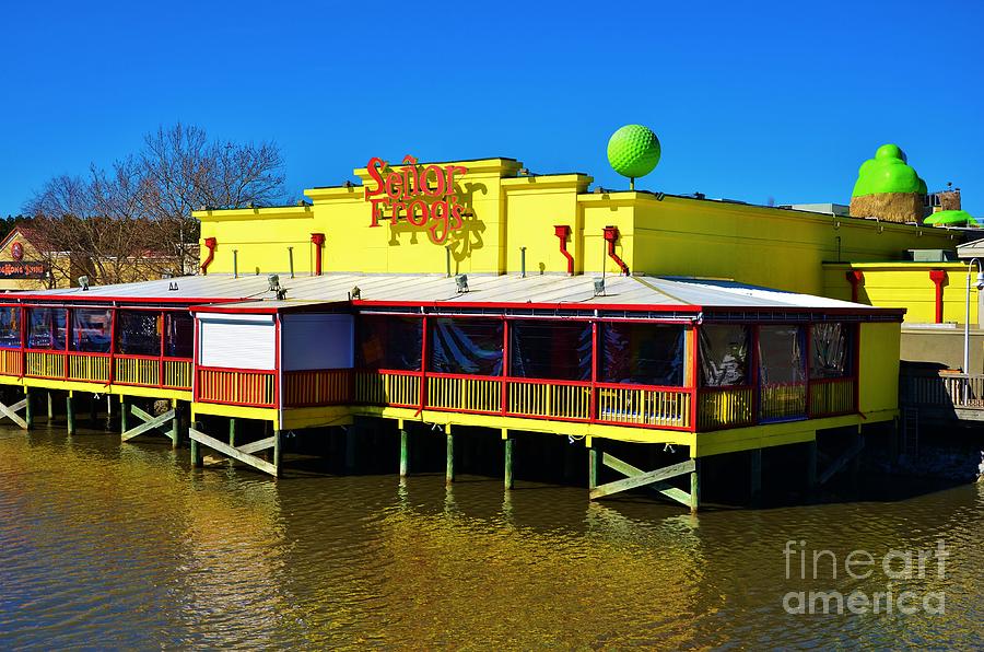 Senor Frogs Myrtle Beach Water Front View Photograph by Bob Sample