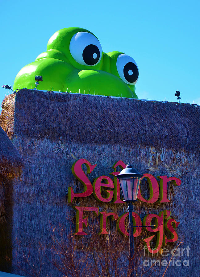 Senor Frogs Photograph by Bob Sample