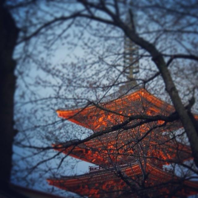 Tokyo Photograph - #sensoji #pagoda #asakusa #tokyo #japan by Kenichi Iwai