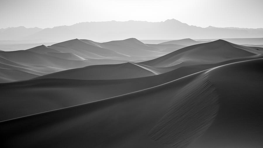 Sensual desert Photograph by Stephanus Le Roux - Fine Art America
