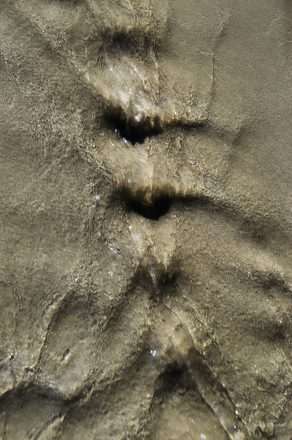 Sensuous Sand Photograph by Donna Blackhall
