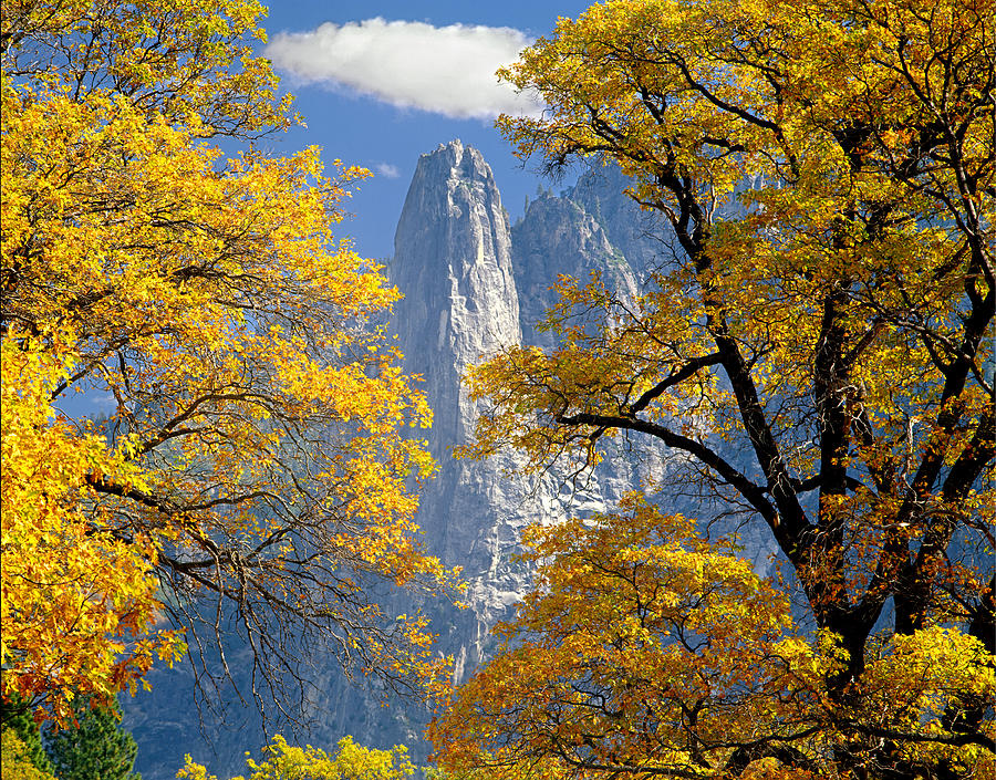 2M6703-Sentinel Rock in Autumn Photograph by Ed  Cooper Photography