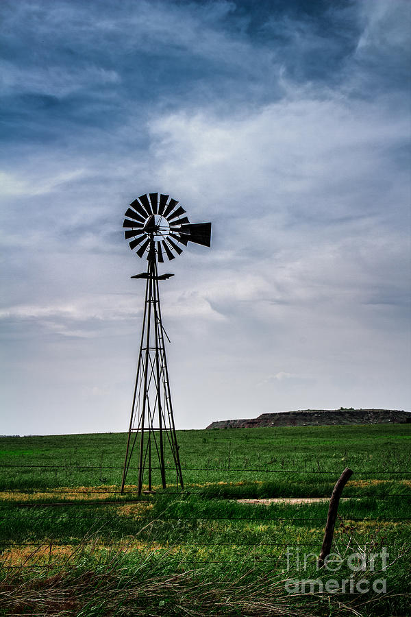 Sentinel of the Plains Photograph by Jim McCain