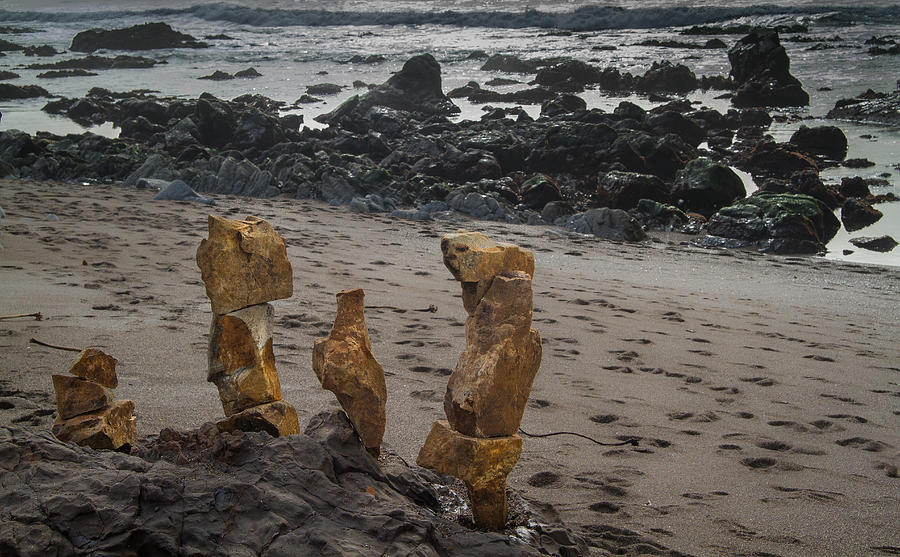 Sentinels Of The Sea Photograph by Roger Mullenhour