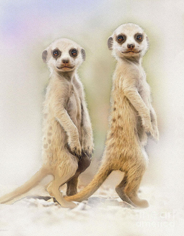 Meerkat Painting - Sentinels by Robert Foster