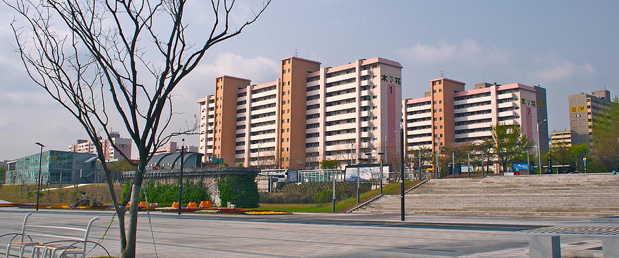 Seoul Apartments Near Hangang River In Korea Photograph by Matt Kelley