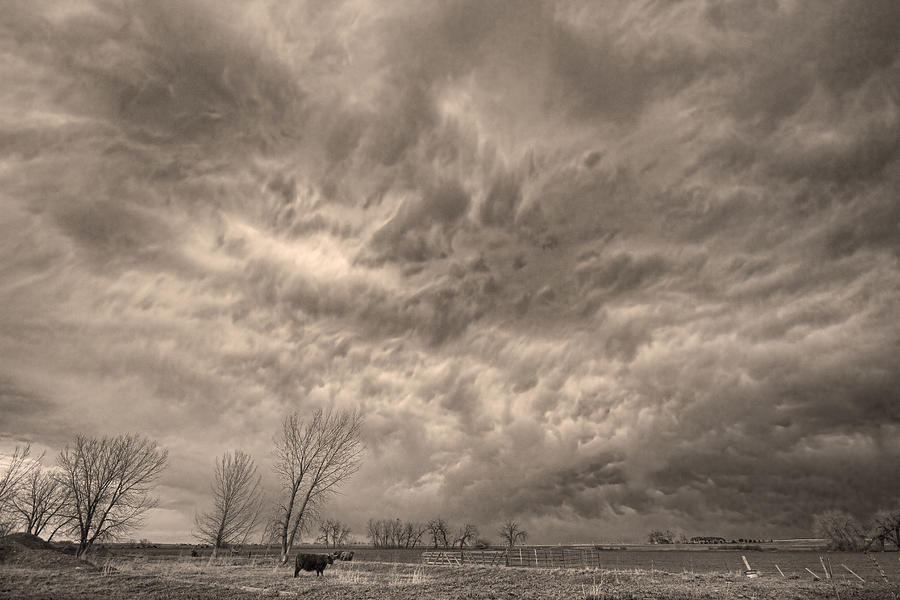 Sepia Angry Skies Photograph by James BO Insogna