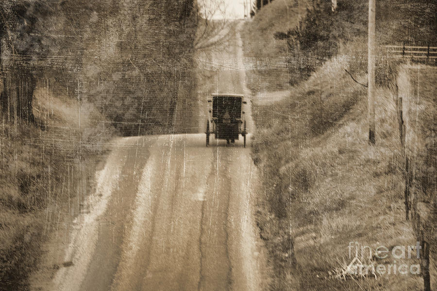 Sepia Buggy Photograph by David Arment