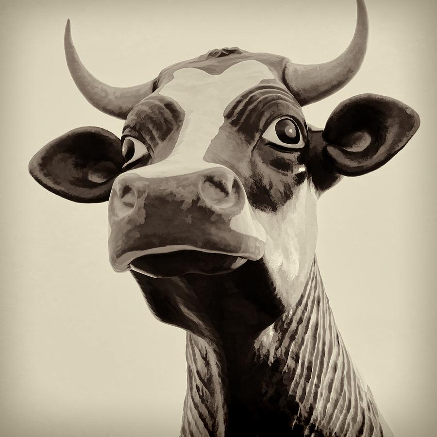 Sepia Cow Photograph by Jenny Hudson
