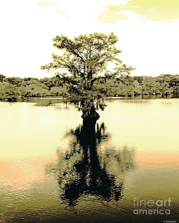 Sepia Cypress Chicot SP Louisiana Digital Art by Lizi Beard-Ward