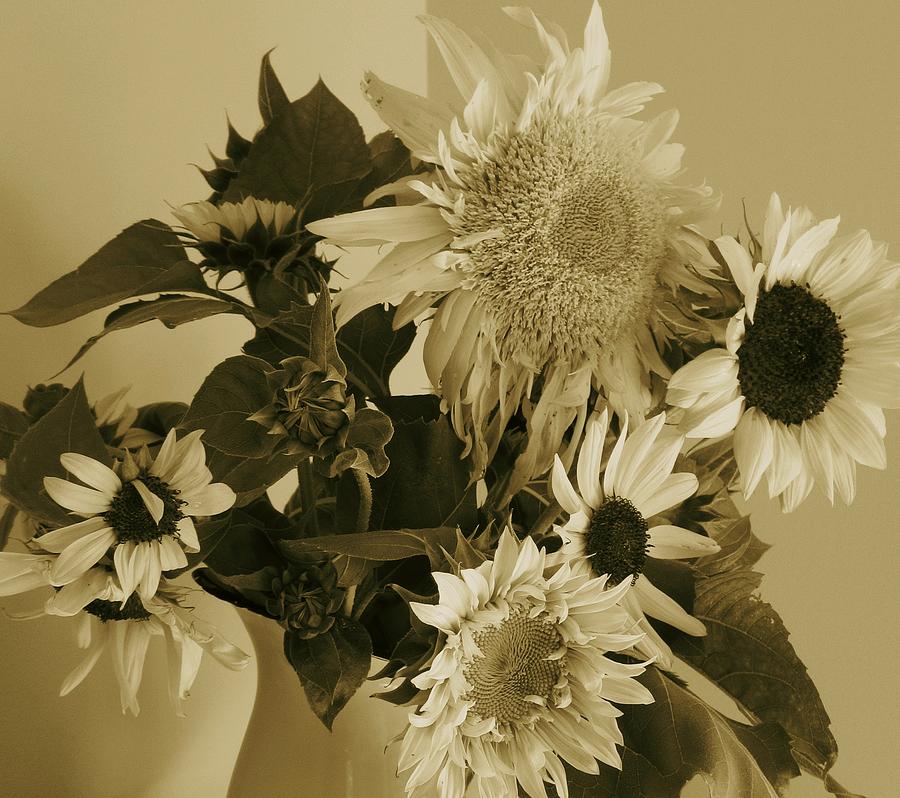 Sepia Garden Sunflower Bouquet Photograph by Mary Wolf