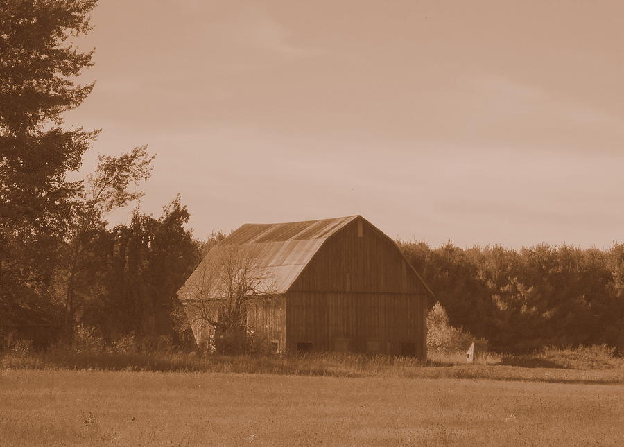 Sepia Michigan Barn Photograph by Kathleen Luther