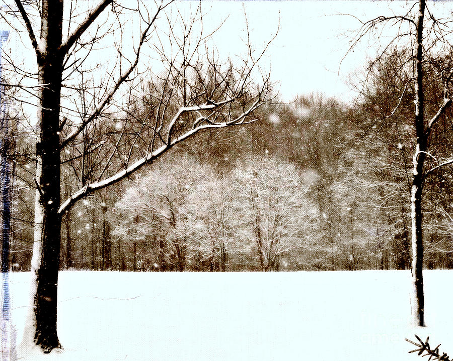 Sepia Ohio Winter Photograph by Lila Fisher-Wenzel