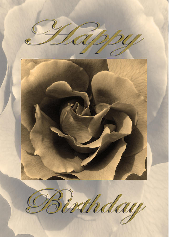 Sepia Rose Happy Birthday Photograph by Martin Matthews - Fine Art America