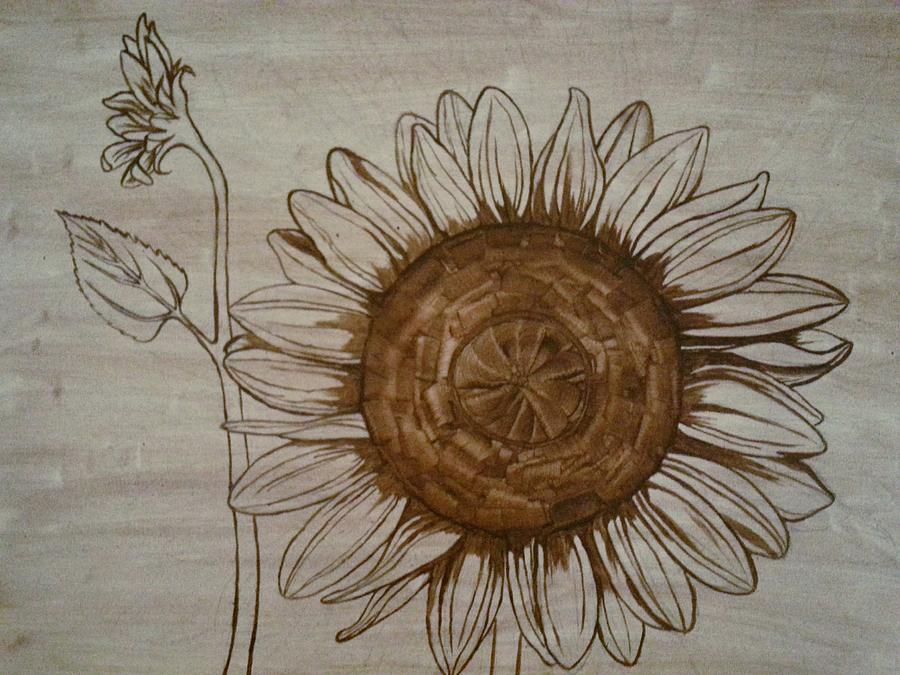 Sepia Sunflower Painting by Kelly Bancroft-Billings | Fine Art America