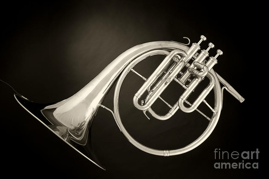 Sepia Tone Classic Antique French Horn 3022.01 Photograph by M K Miller