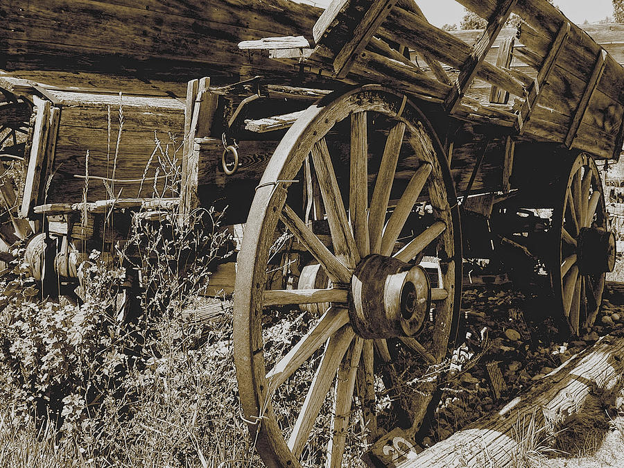 Sepia Wagon Photograph by David Armstrong