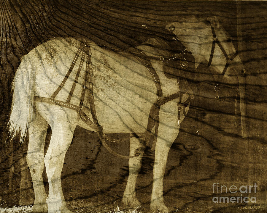 Horse Digital Art - Sepia Workhorse by Judy Wood