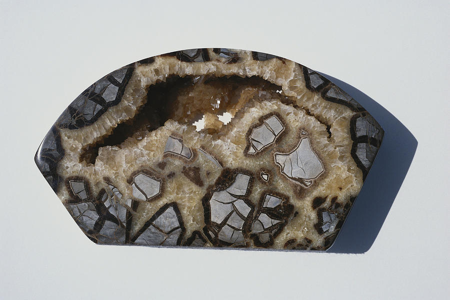 Septarian Concretion Photograph by A.b. Joyce
