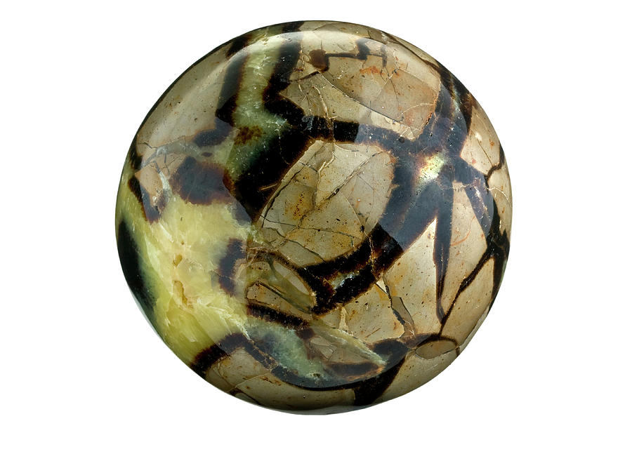Ball Photograph - Septarian Nodule Polished Stone by Natural History Museum, London/science Photo Library