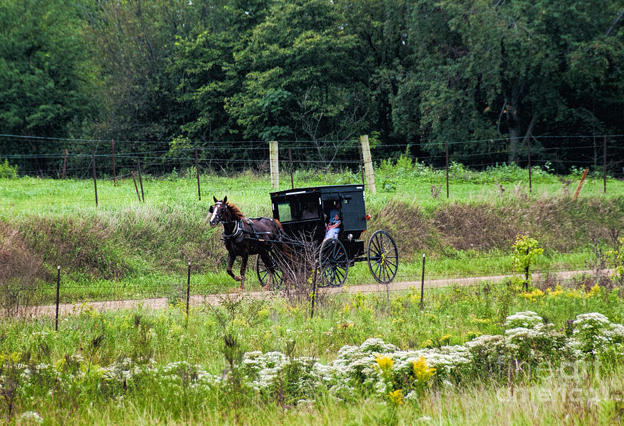 September Buggy Photograph by David Arment