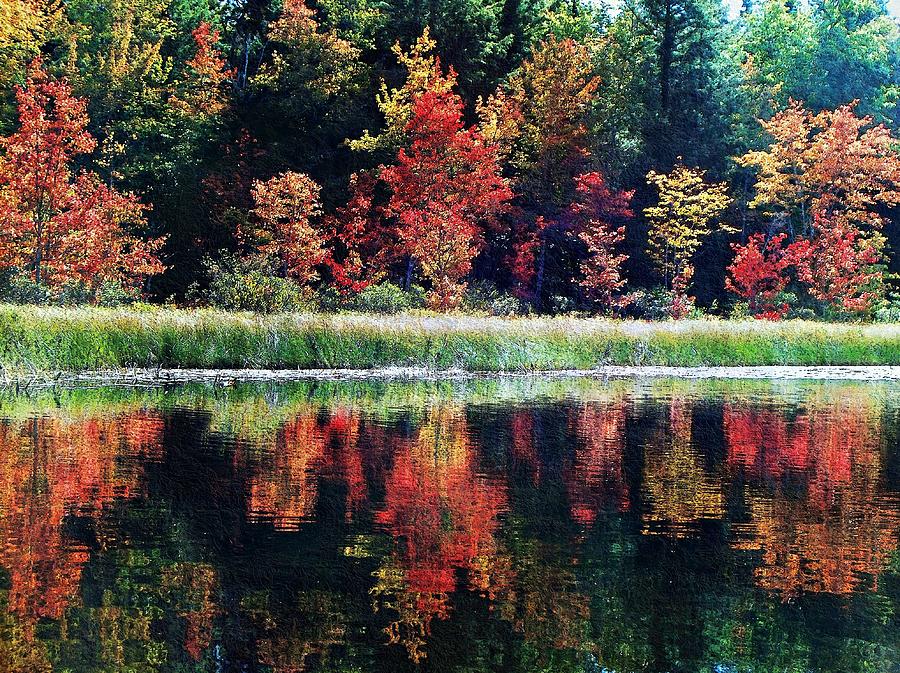 September Color Photograph by Joy Nichols